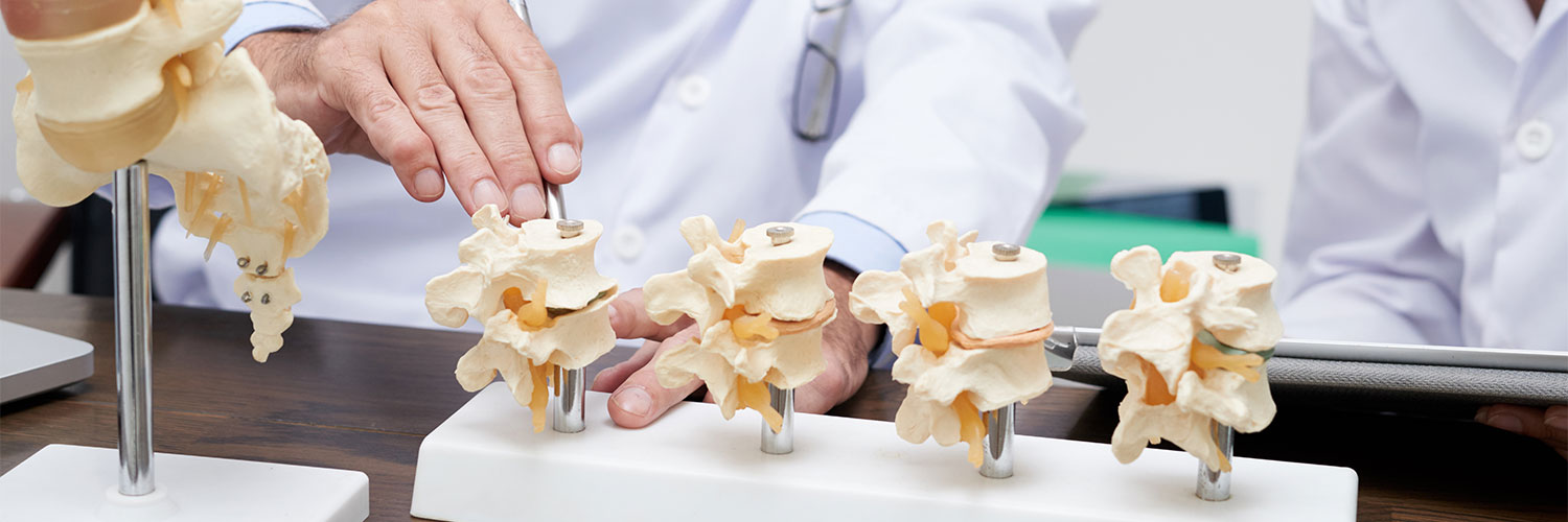 degenerative disc disease physical therapy services